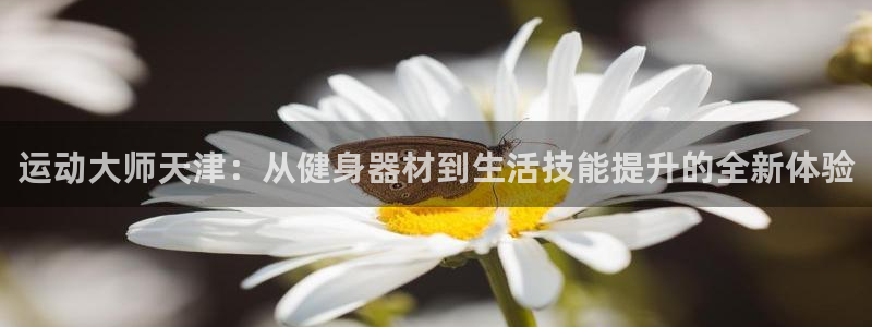 注册678体育官方正版app：运动大师天津：从健身器