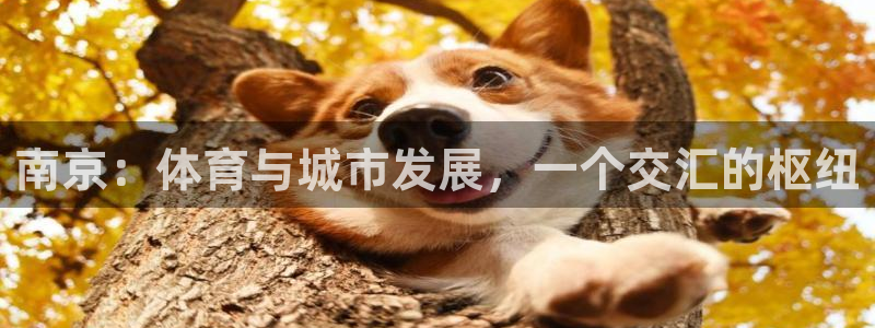 678体育官方正版app娱乐：南京：体育与城市发展，