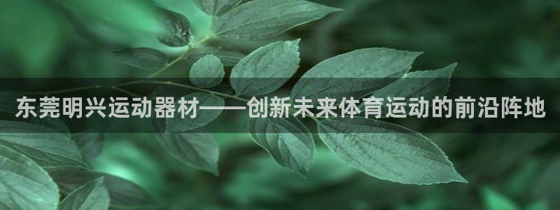 678体育官方正版app神州：东莞明兴运动器材——创新未来体
