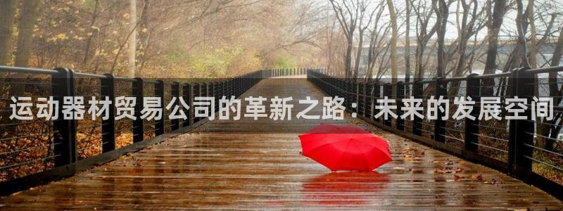 678体育官方正版app集团：运动器材贸易公司的革新之路：未