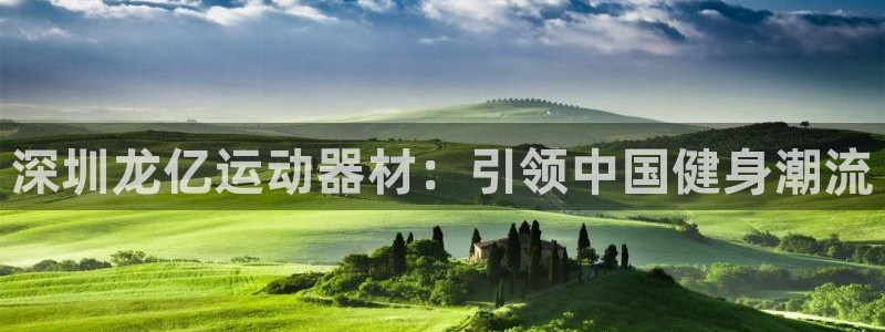 678体育官方正版app集团logo：深圳龙亿运动器材：引领