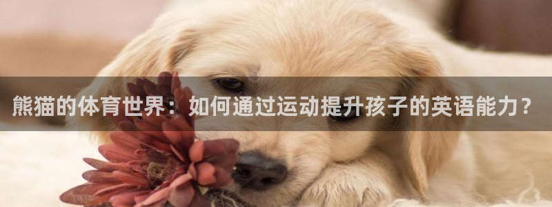 谈球吧