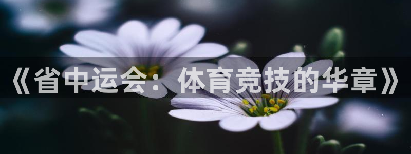 谈球吧