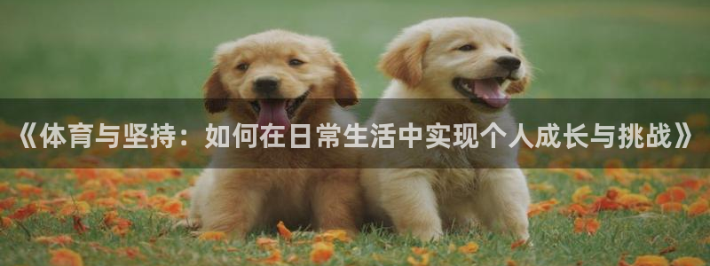 谈球吧
