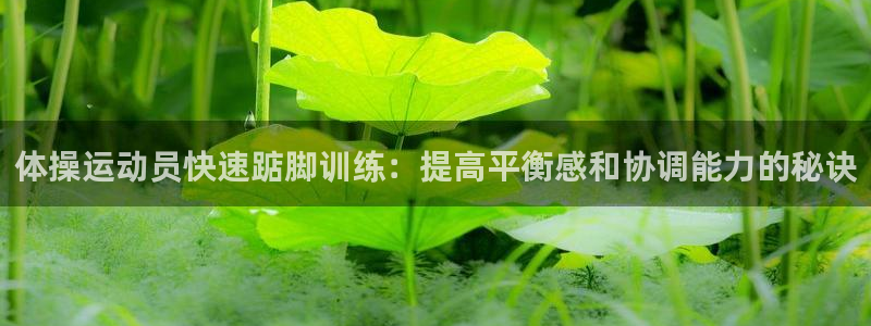 谈球吧体育官网