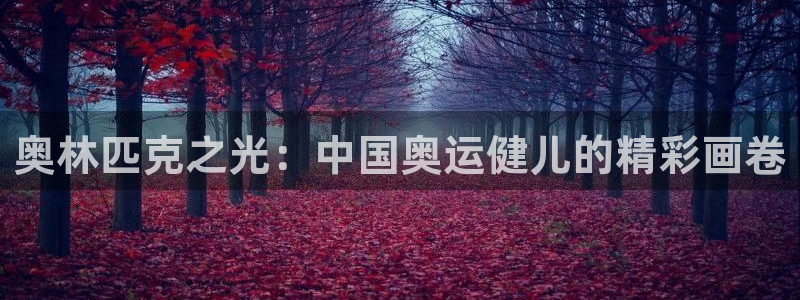 谈球吧体育官网：奥林匹克之光：中国奥运健儿的精彩画卷
