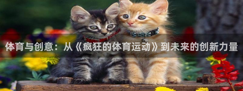 谈球吧体育官网：体育与创意：从《疯狂的体育运动》到未来的创新力量