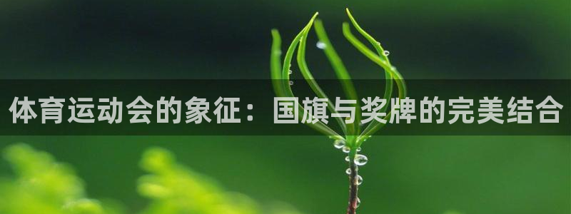 谈球吧体育：体育运动会的象征：国旗与奖牌的完美结合
