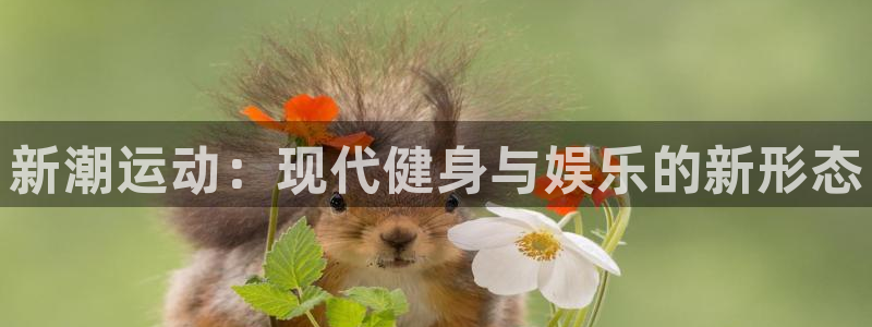 678体育官网下载招商电话地址是多少：新潮运动：现代健身与娱